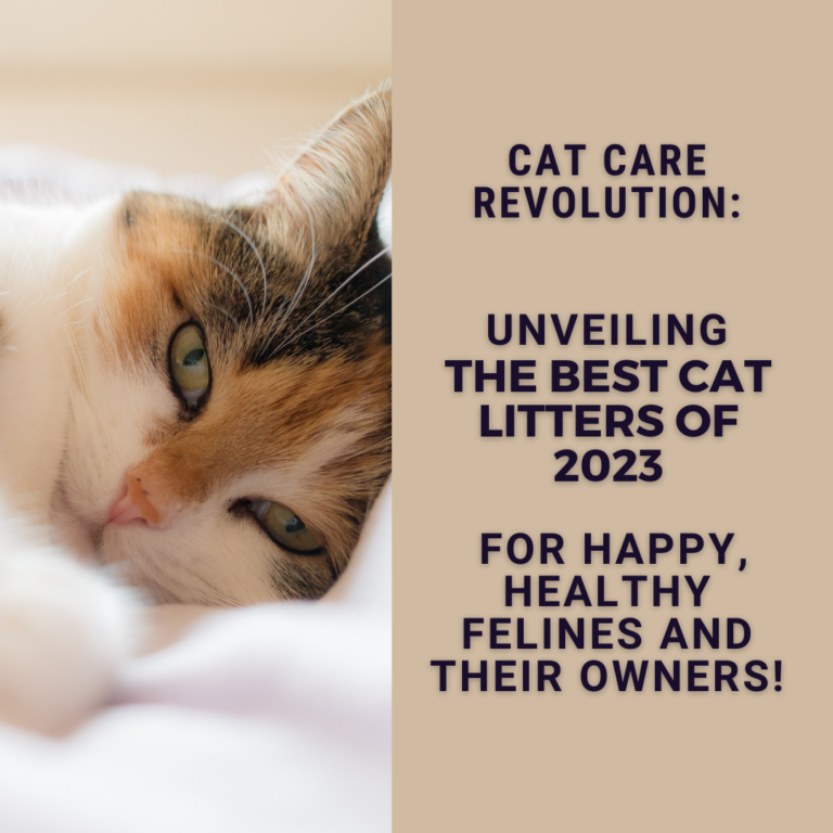 Cat Care Revolution Unveiling the Best Cat Litters of 2023 for Happy, Healthy Felines