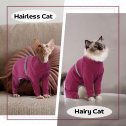 QBLEEV Sphynx Cat Clothes for Cats Only, Cotton Four Leg Cat Pajamas, Hairless Cats Shirt Breathable Cat Turtleneck Kitten T-Shirts Warm Pullover Pet Clothes Cat Outfits for Cornish Rex, Devon Rex, L